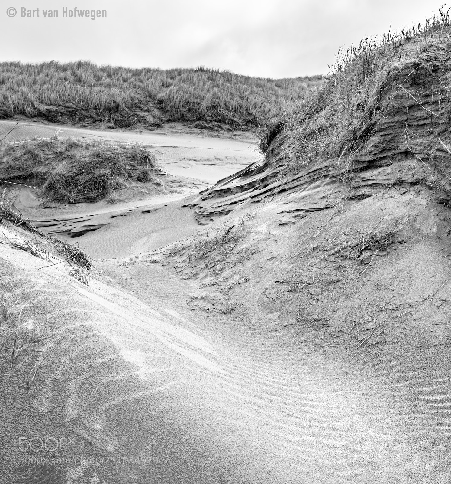 Nikon D810 sample photo. Dunes i photography