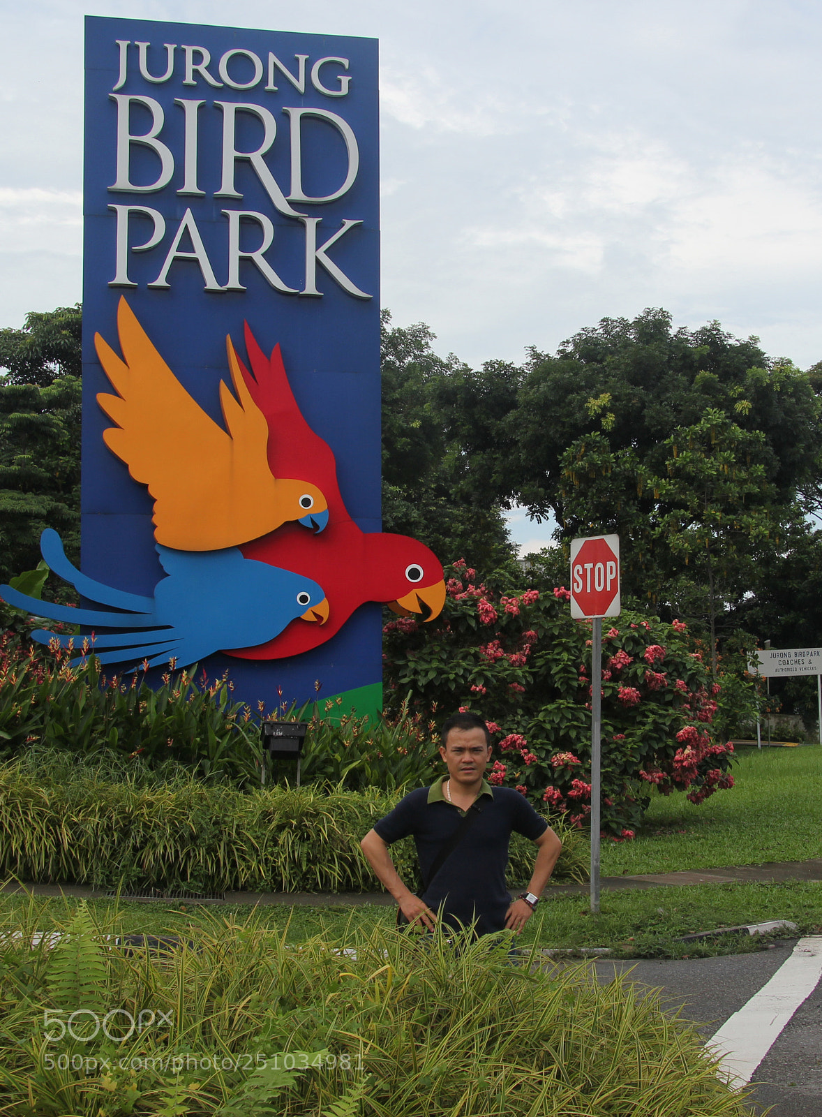 Canon EOS 550D (EOS Rebel T2i / EOS Kiss X4) sample photo. Jurong photography