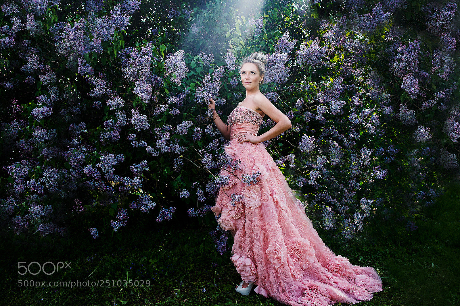 Nikon D800 sample photo. Spring photography