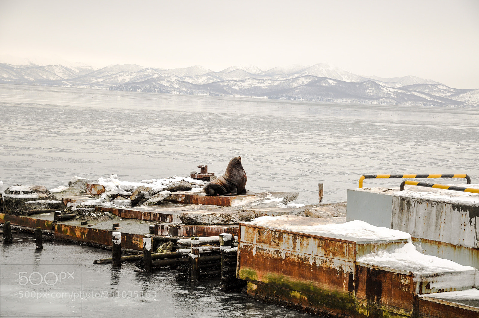 Nikon D90 sample photo. Untitled photography