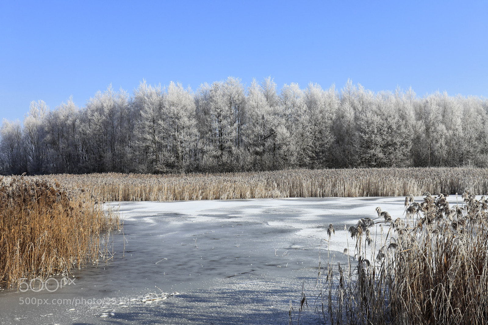 Canon EOS 5D Mark II sample photo. Frozen lakes at ferry photography