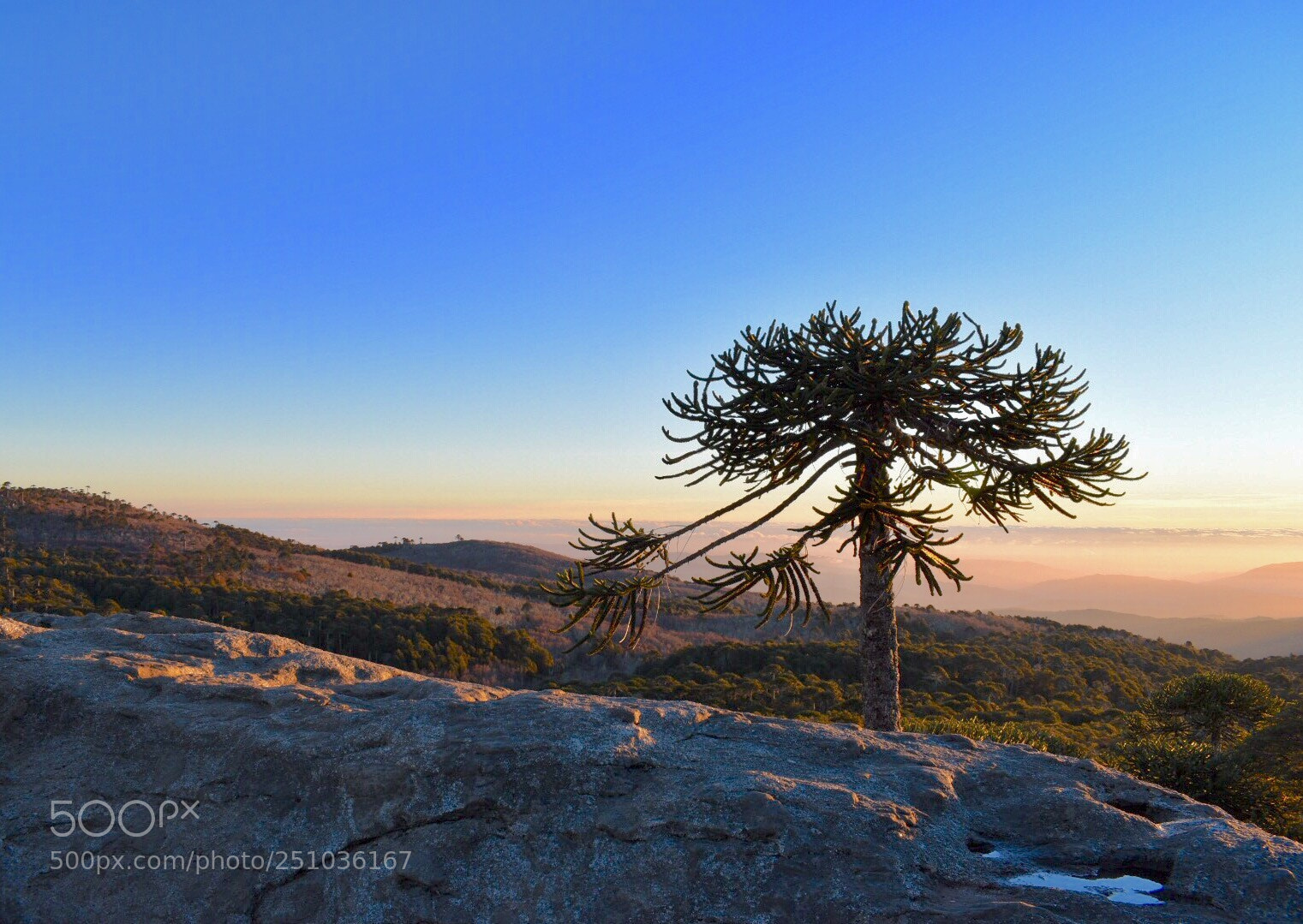 Nikon D5500 sample photo. Piedra del guila, cordillera photography