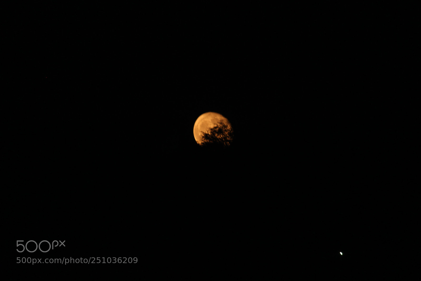 Canon EF-S 55-250mm F4-5.6 IS II sample photo. Img photography