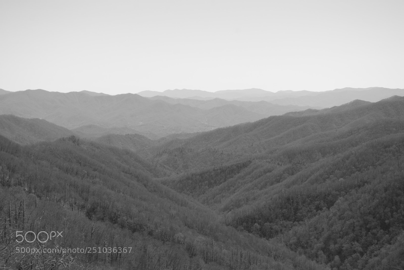 Nikon D60 sample photo. Smokies photography