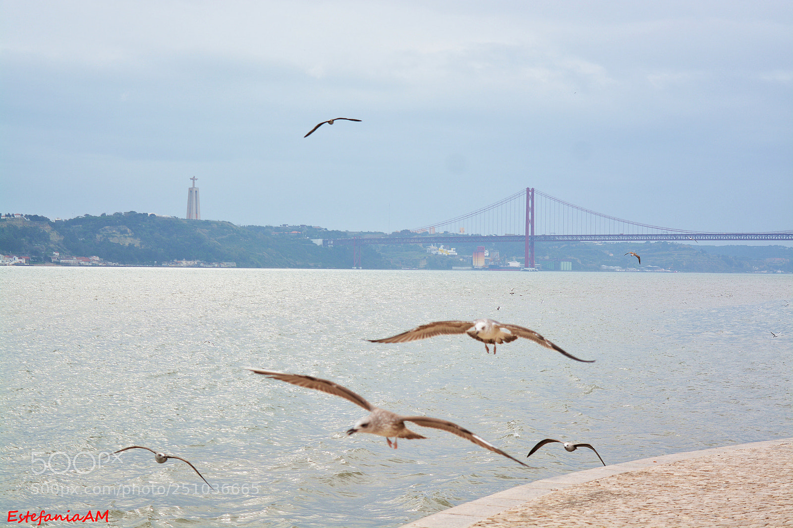 Nikon D5200 sample photo. Lisboa photography