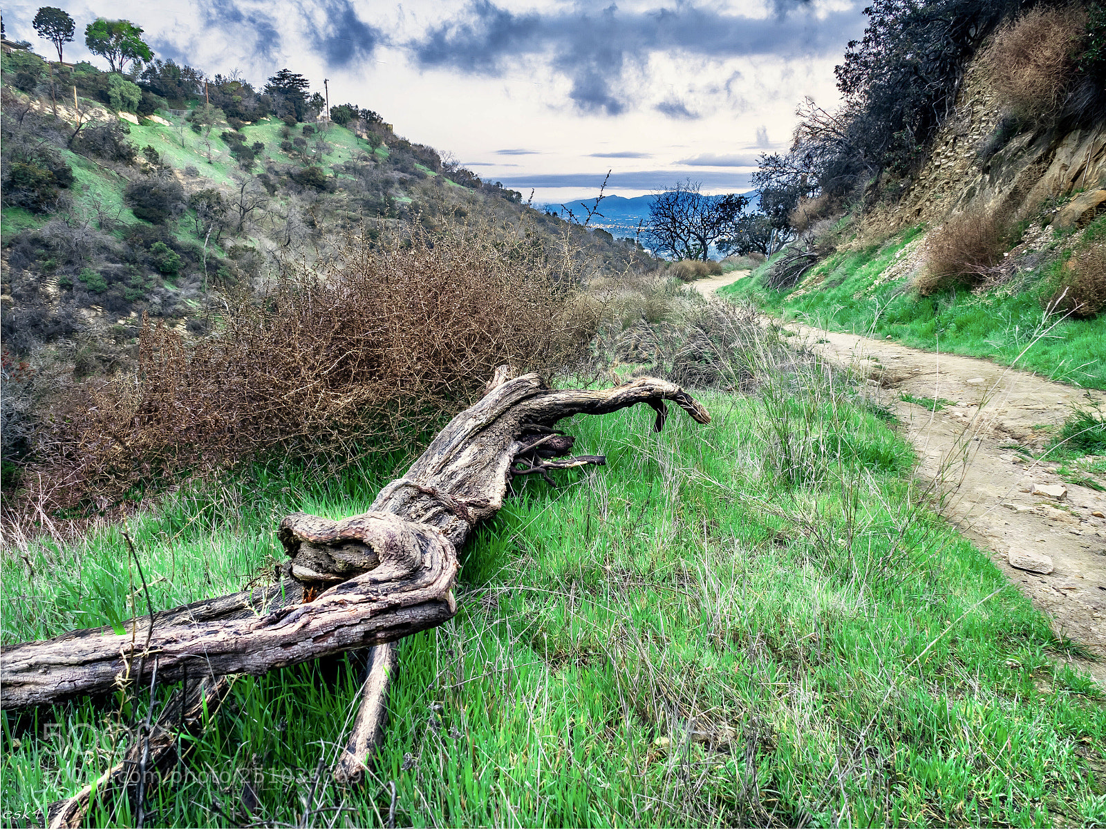 Olympus OM-D E-M5 II sample photo. More dirt dixie photography