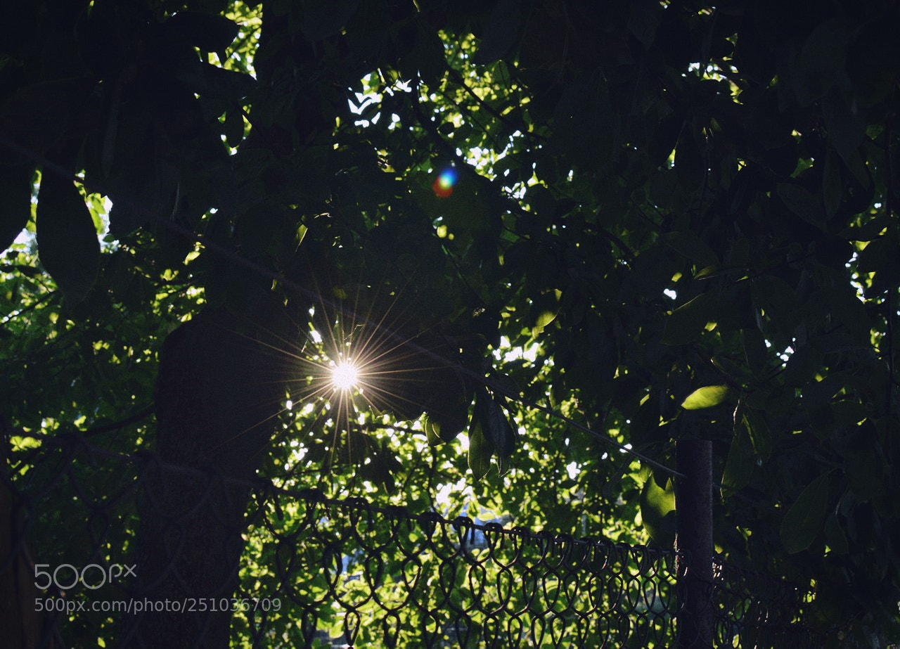 Nikon D3200 + Nikon AF-S DX Nikkor 35mm F1.8G sample photo. *** photography