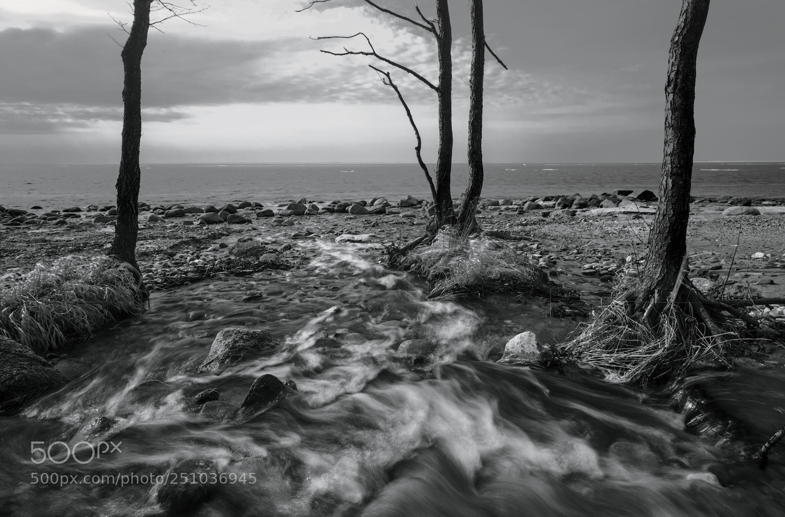 Canon EOS 5D sample photo. B&w photography