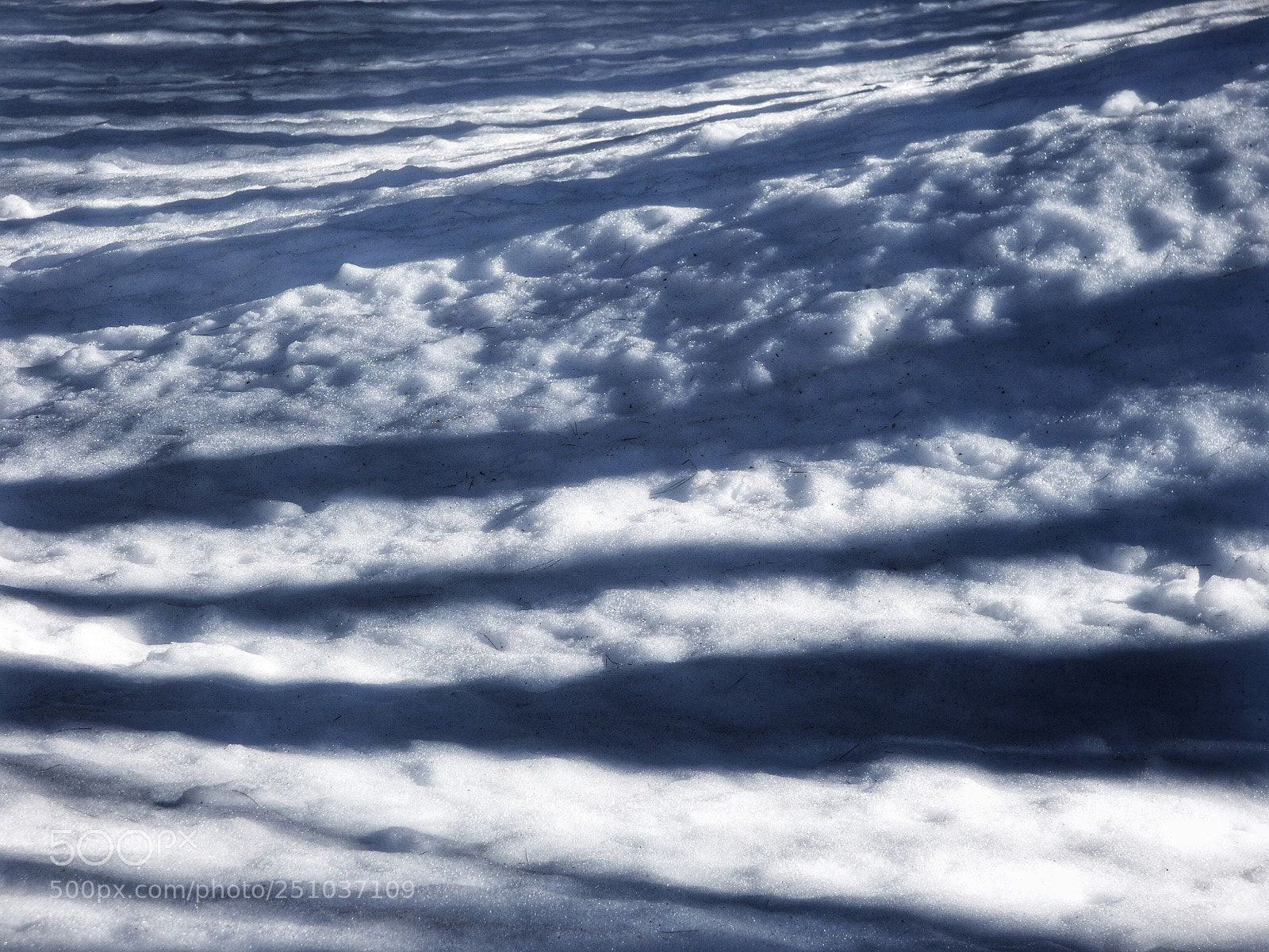 Panasonic Lumix DMC-FZ70 sample photo. Striped snow photography