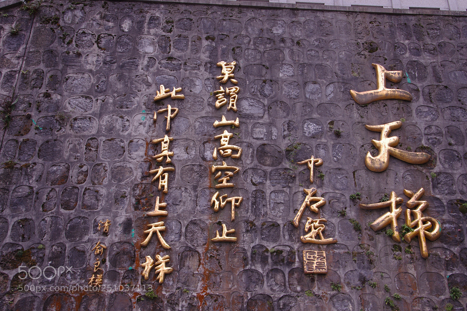 Pentax K-5 sample photo. Untitled photography