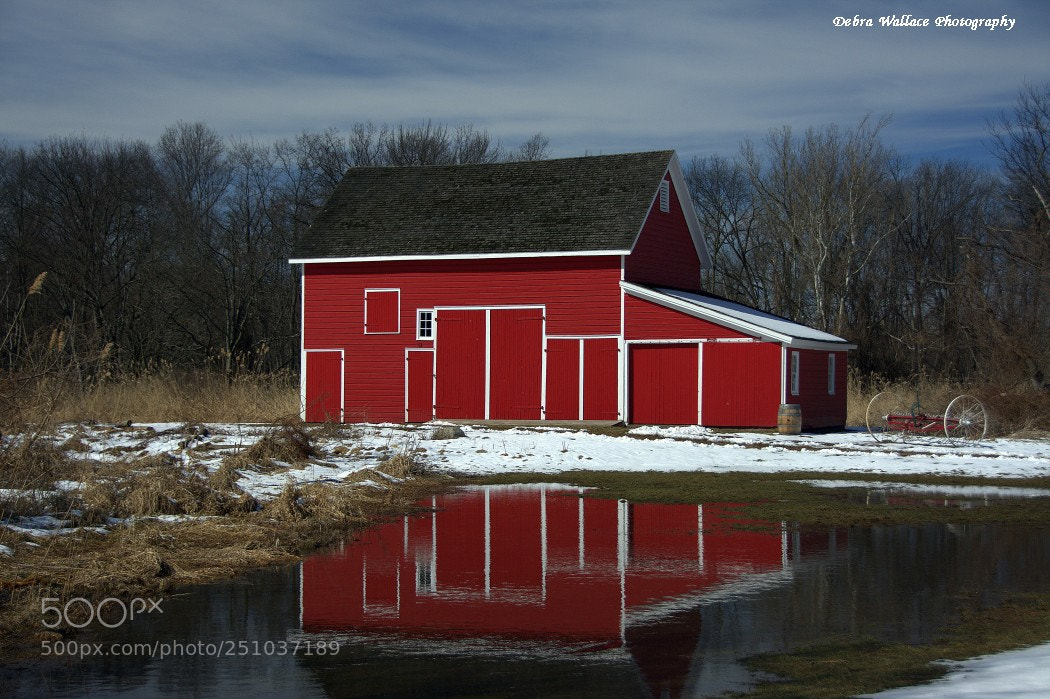 Nikon D7100 sample photo. The red barn at photography