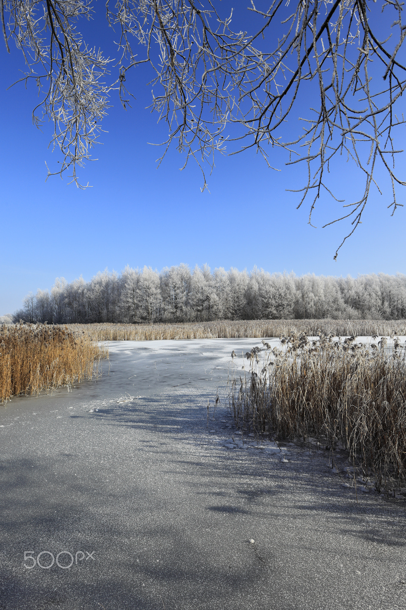 Frozen lakes at Ferry Meadows country park, Peterborough, Cambri