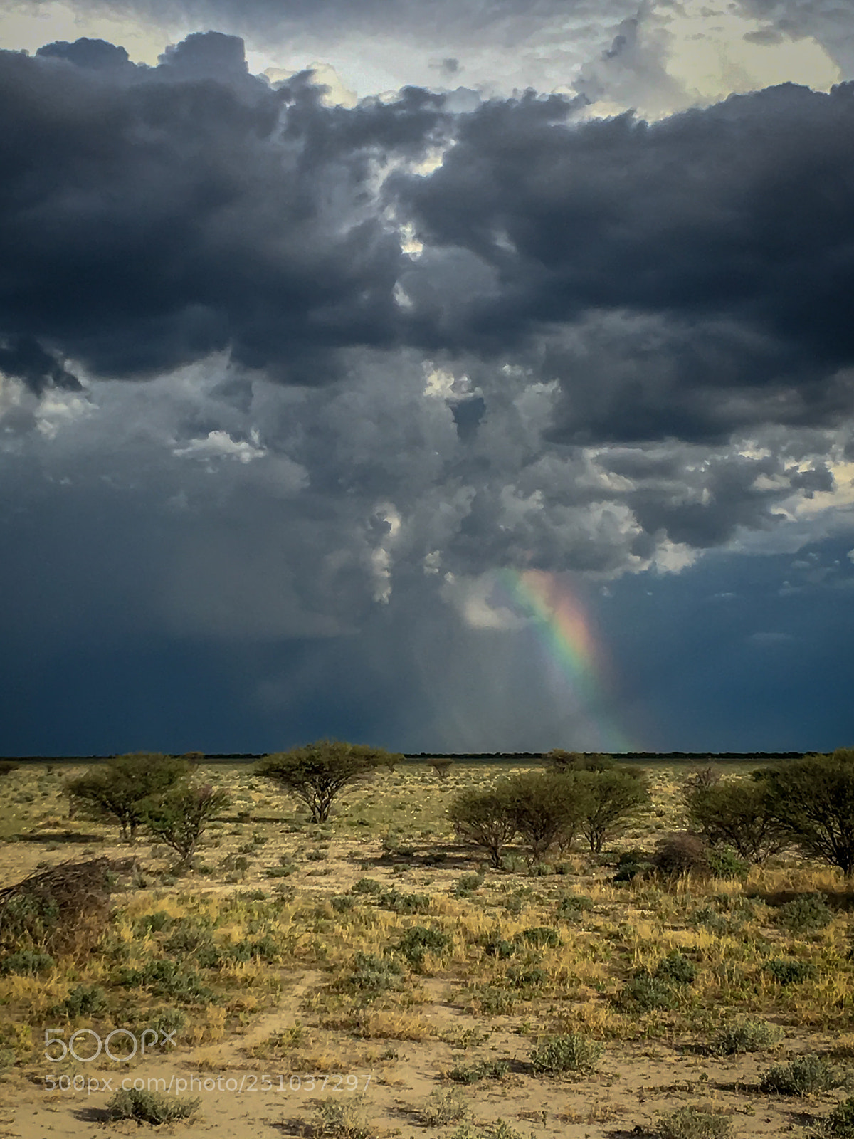 Apple iPhone SE sample photo. Namibia photography