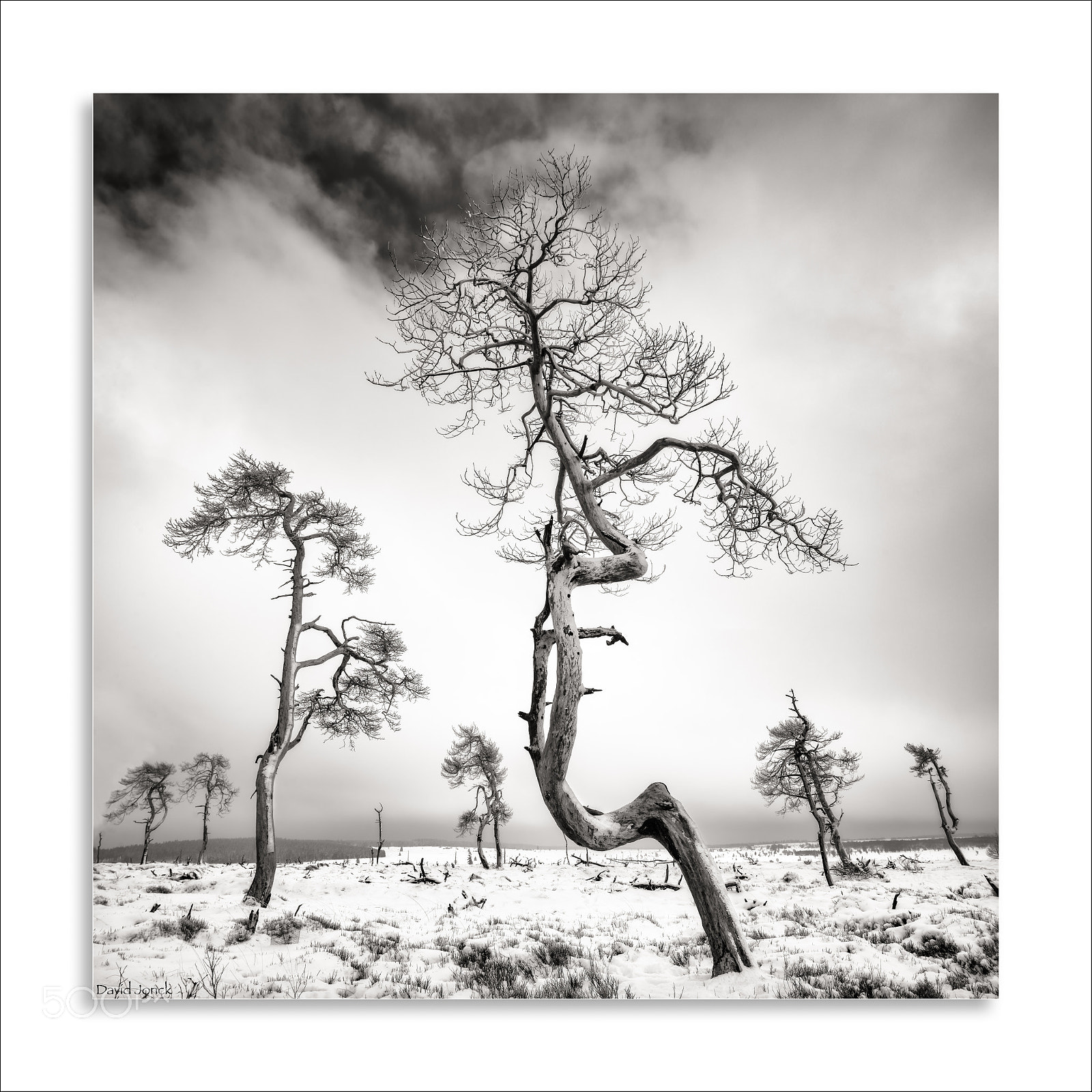 Nikon D850 sample photo. Hautes fagnes - noir photography