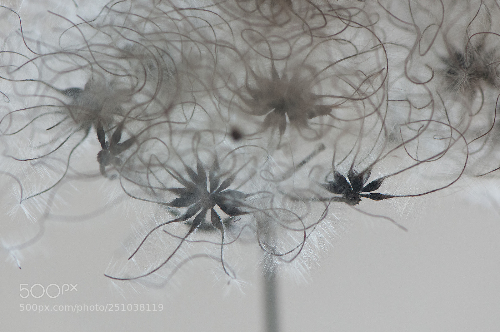 Nikon D300S sample photo. Untitled photography
