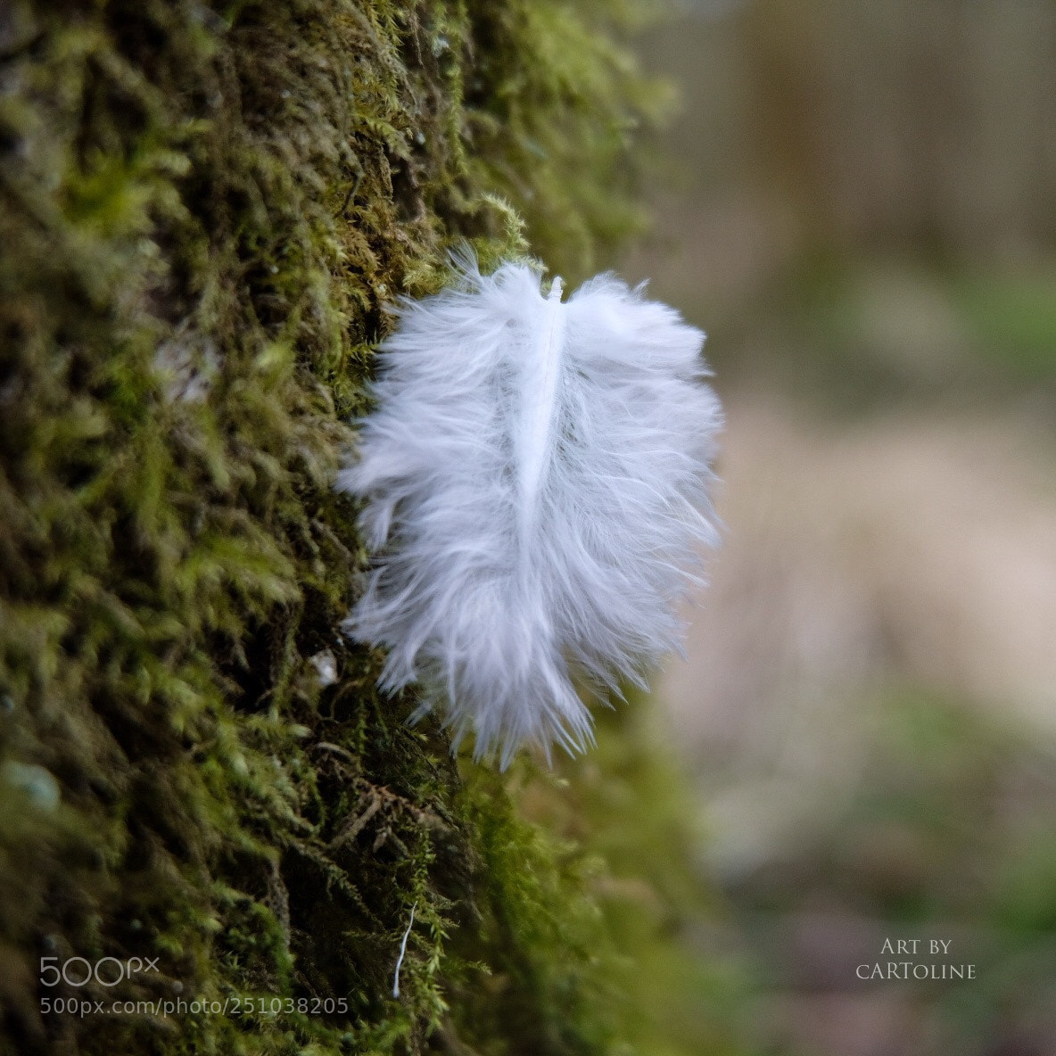 Fujifilm X-T20 sample photo. Angel photography