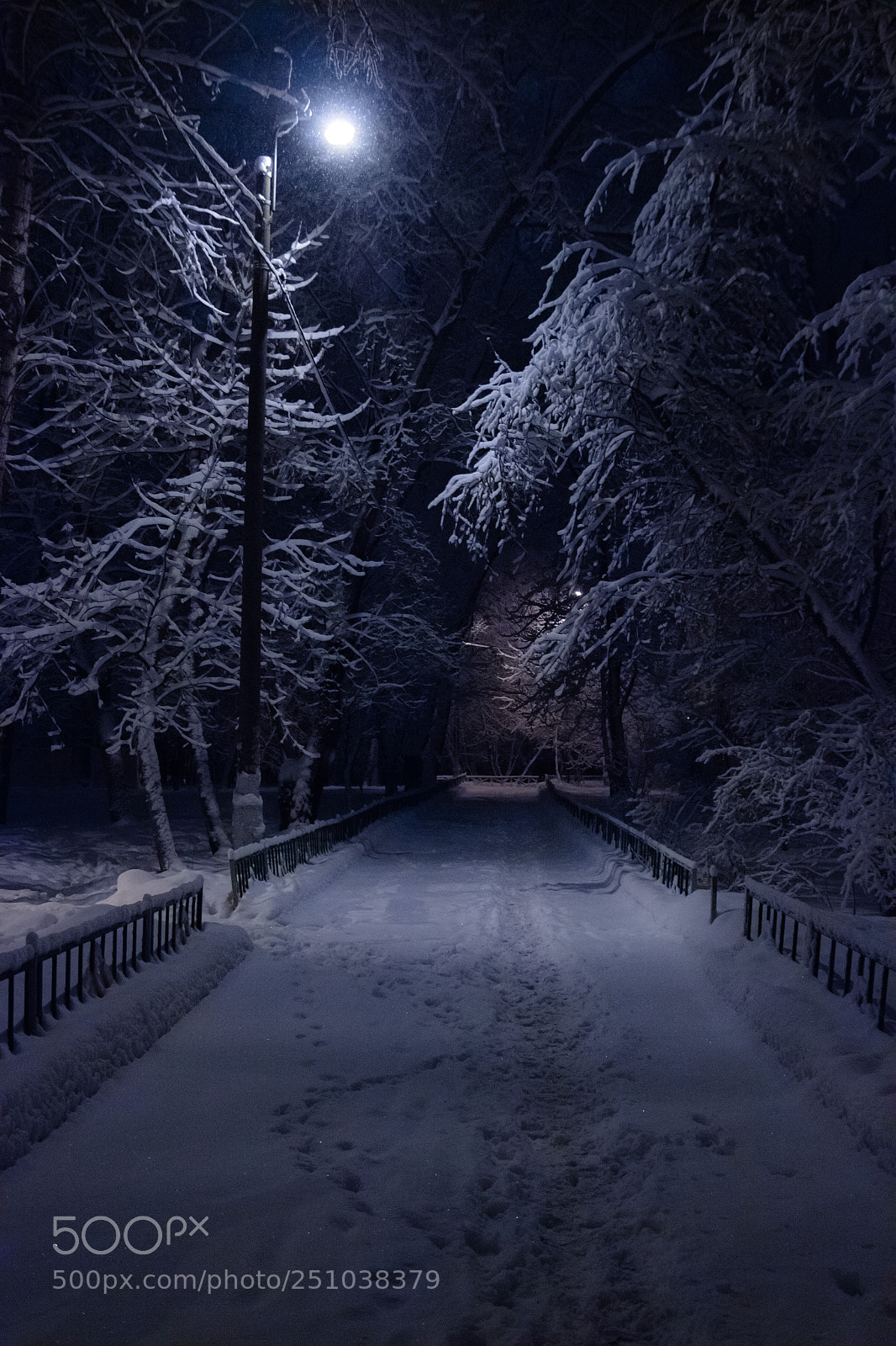 Canon EOS 600D (Rebel EOS T3i / EOS Kiss X5) sample photo. Snowfall photography