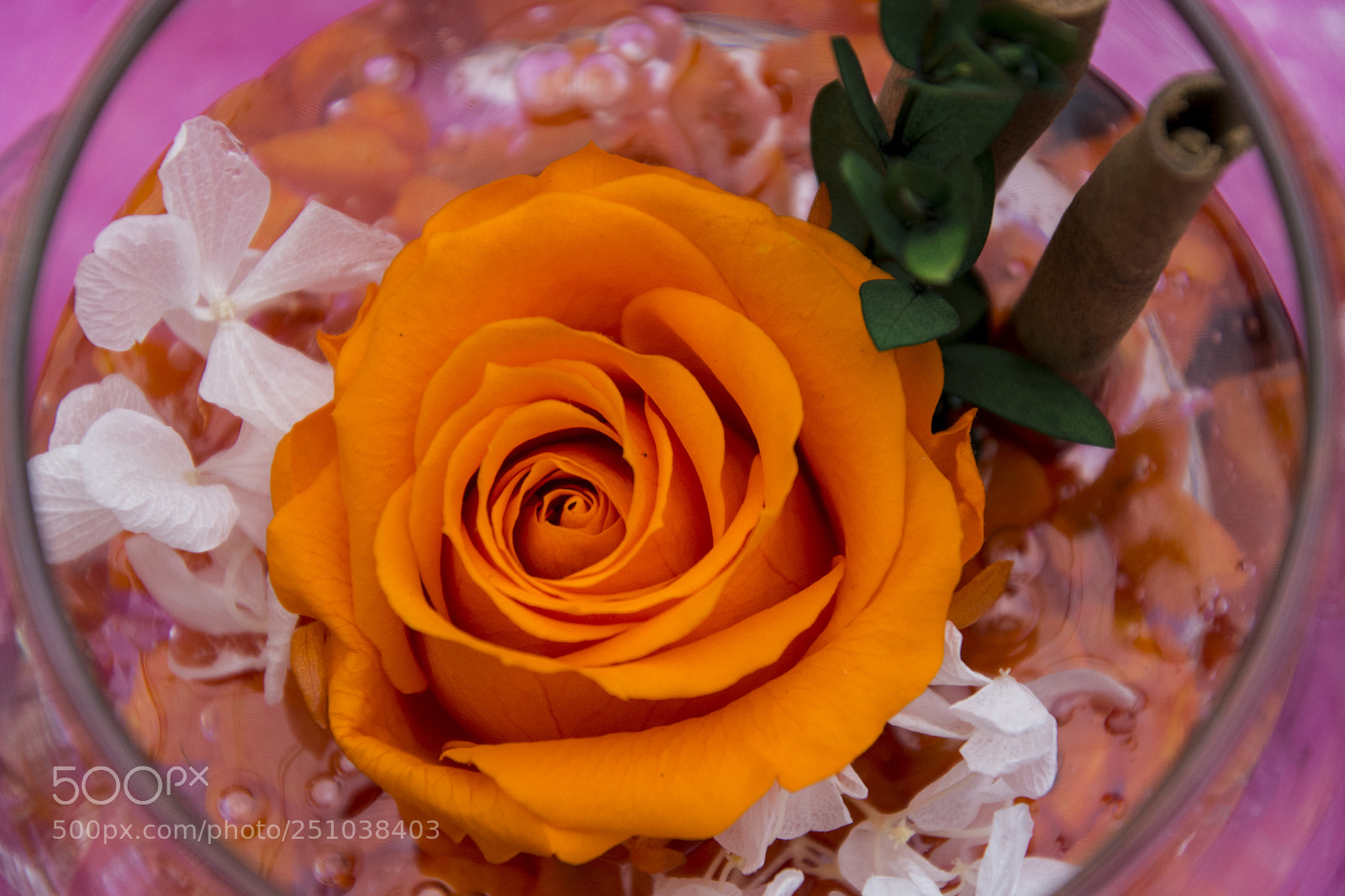 Nikon D5200 sample photo. Floral arrangement. orange rose photography