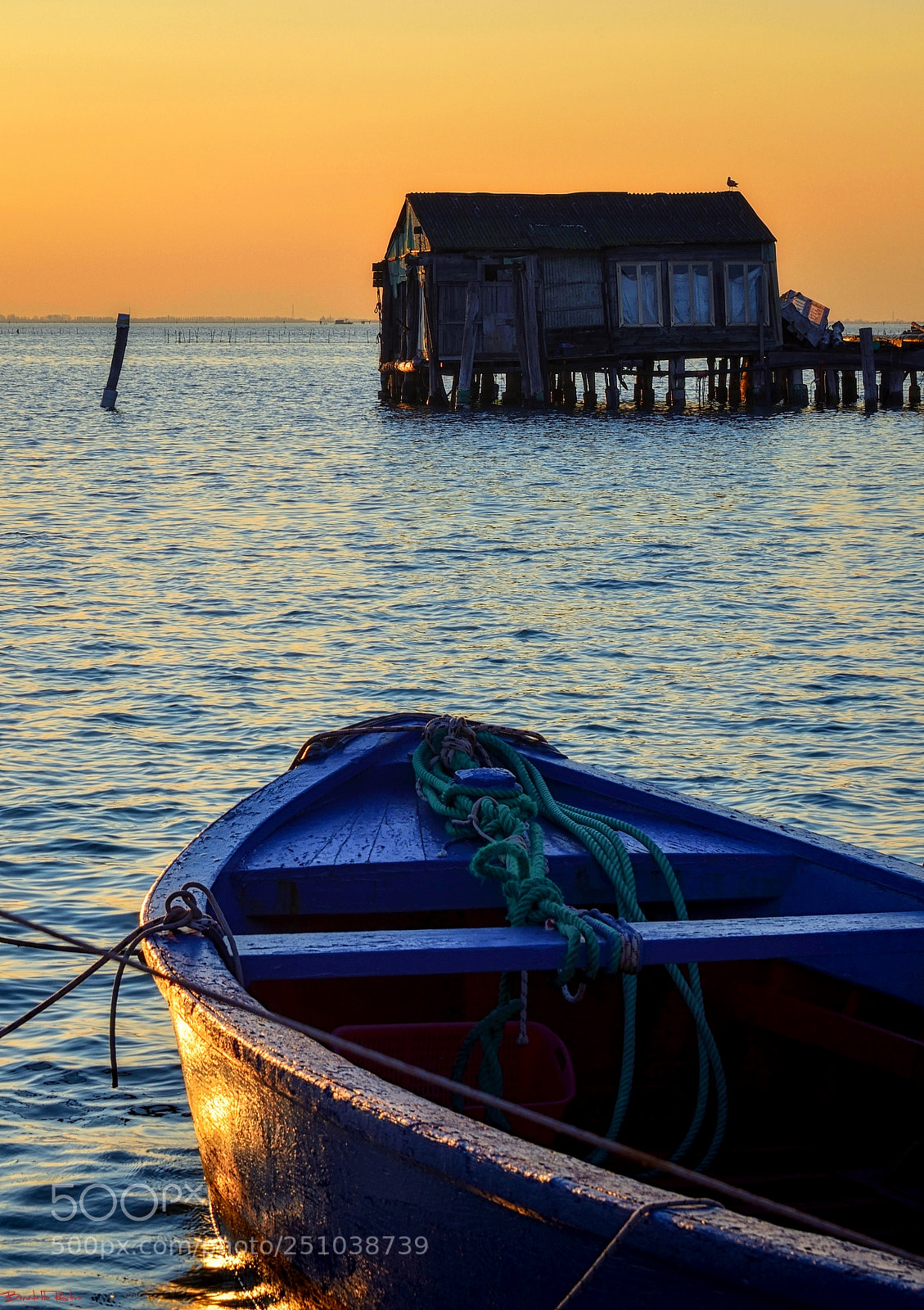Nikon D5100 sample photo. Dall'isola di pellestrina..... photography