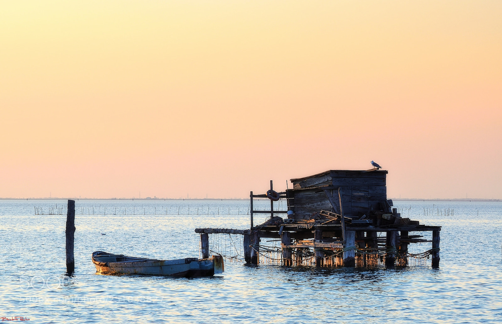 Nikon D5100 sample photo. Dall'isola di pellestrina..... photography