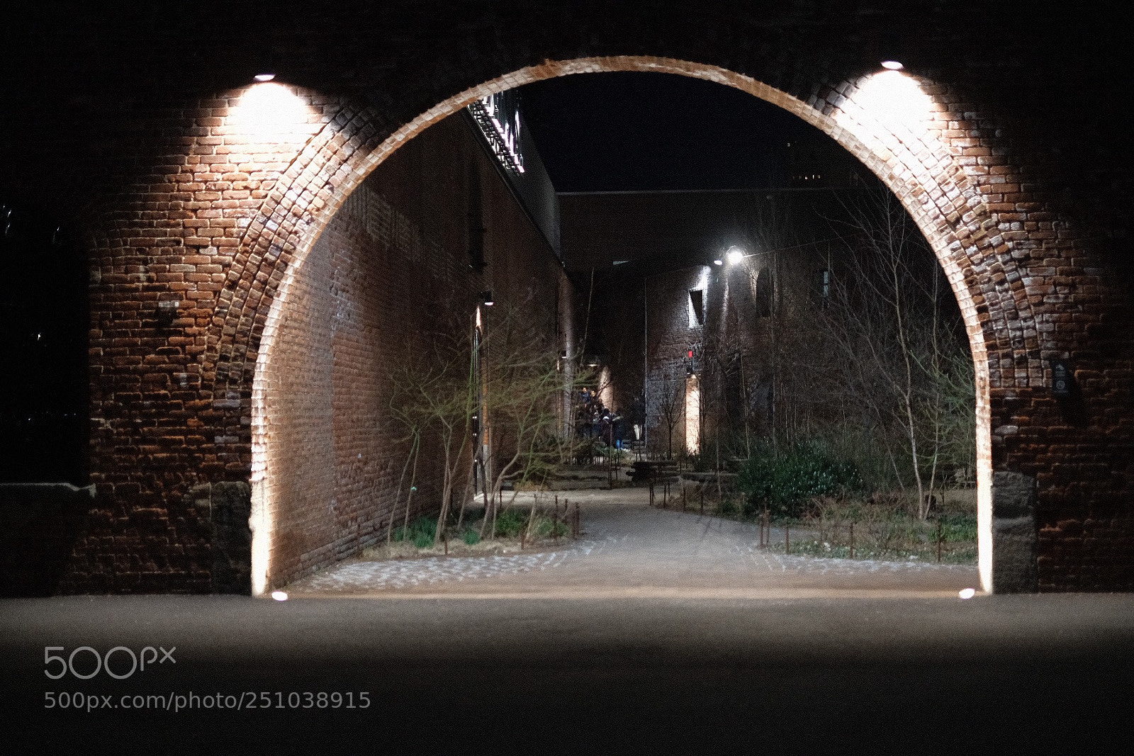 Fujifilm X-Pro2 sample photo. Untitled photography