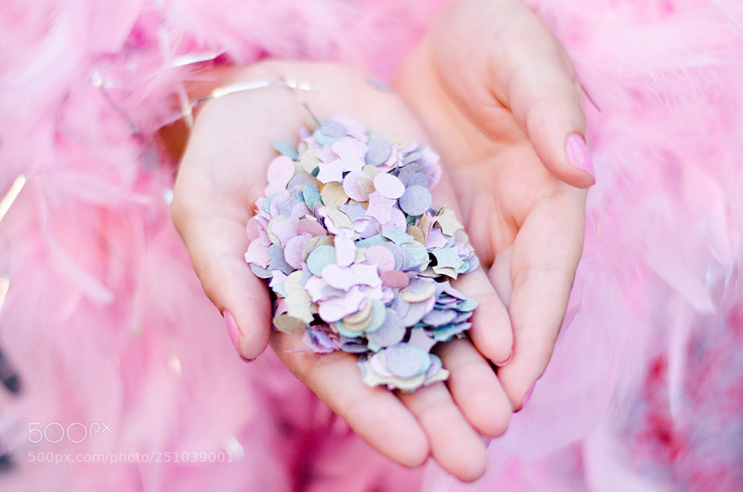 Nikon D5100 sample photo. Untitled photography