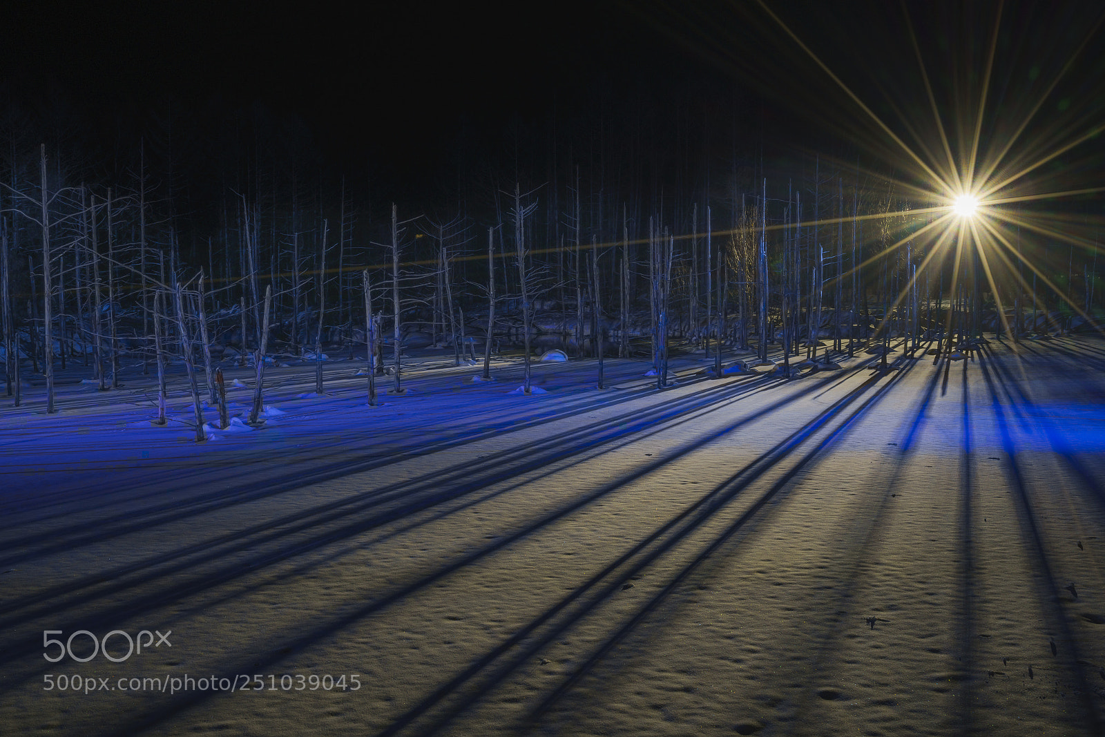 Sony a7R II sample photo. Winter light and shadow photography