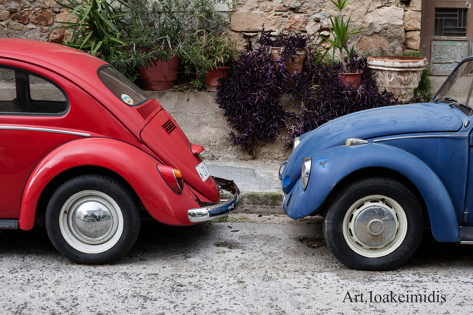 Canon EOS 5D sample photo. Beetle photography