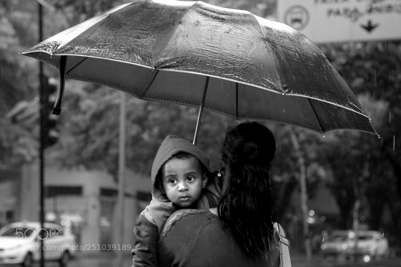 Fujifilm X-T1 sample photo. Untitled photography
