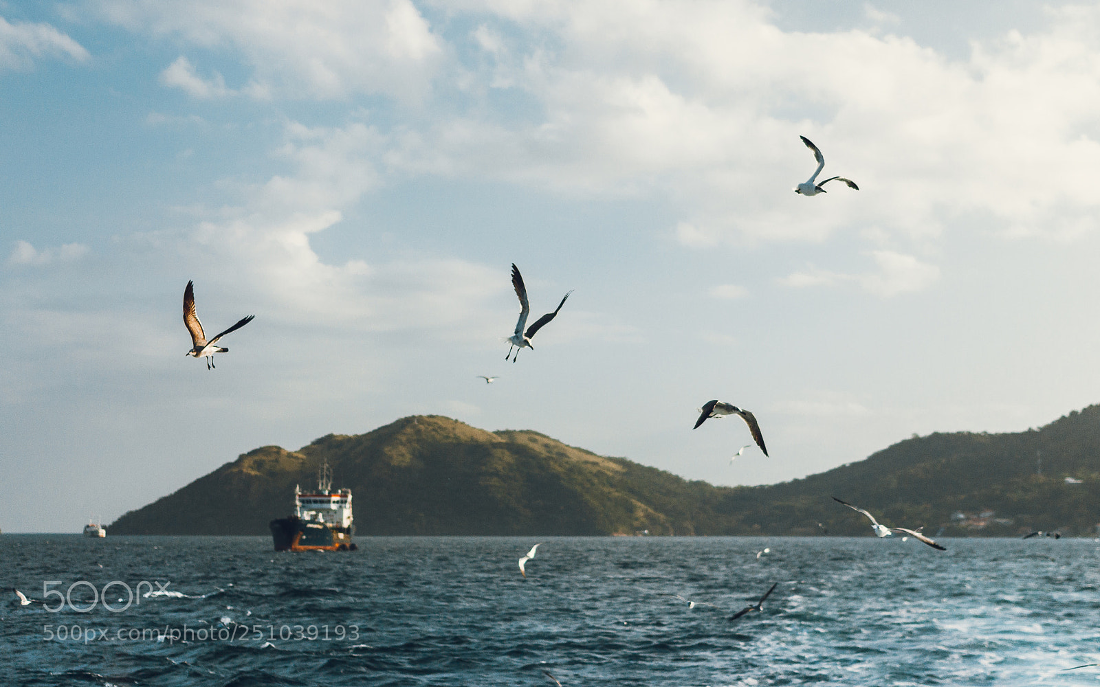 Canon EOS 700D (EOS Rebel T5i / EOS Kiss X7i) sample photo. Leaving land behind photography