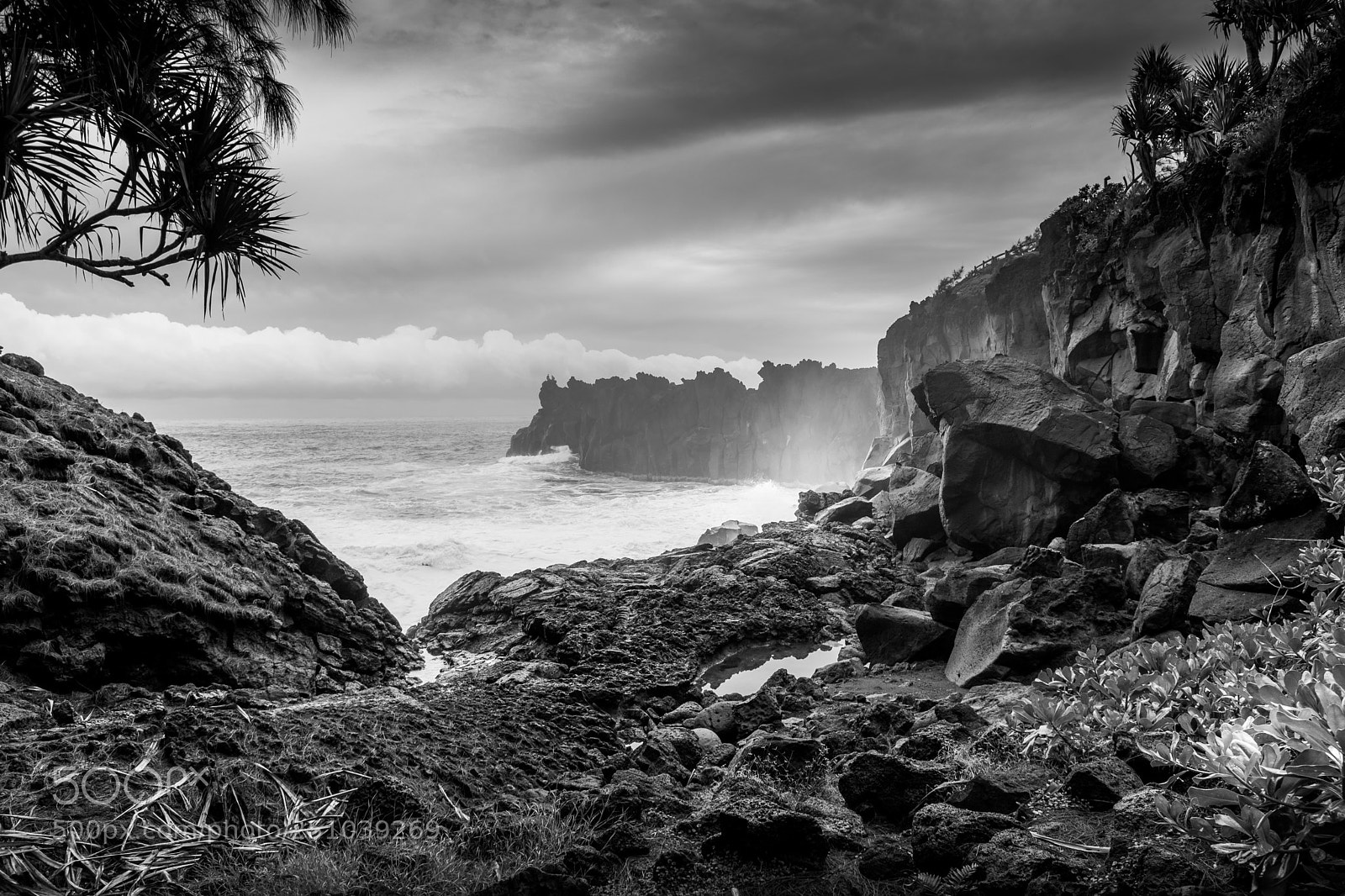 Nikon D7200 sample photo. Cap m chant la photography