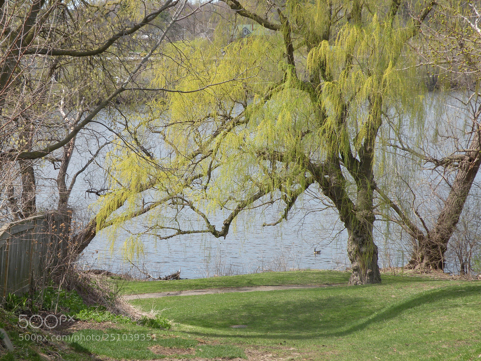 Nikon Coolpix P80 sample photo. Riverside landscape photography