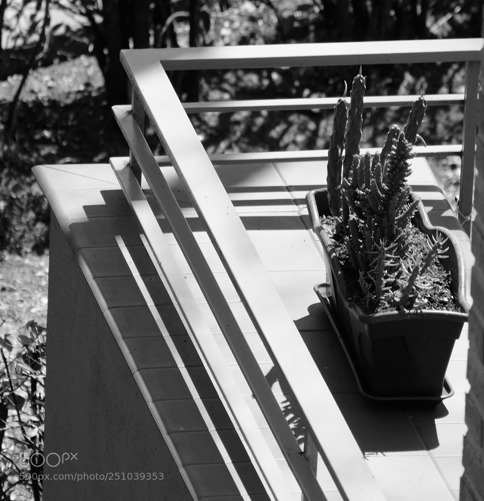 Fujifilm X-E1 sample photo. Dscf photography