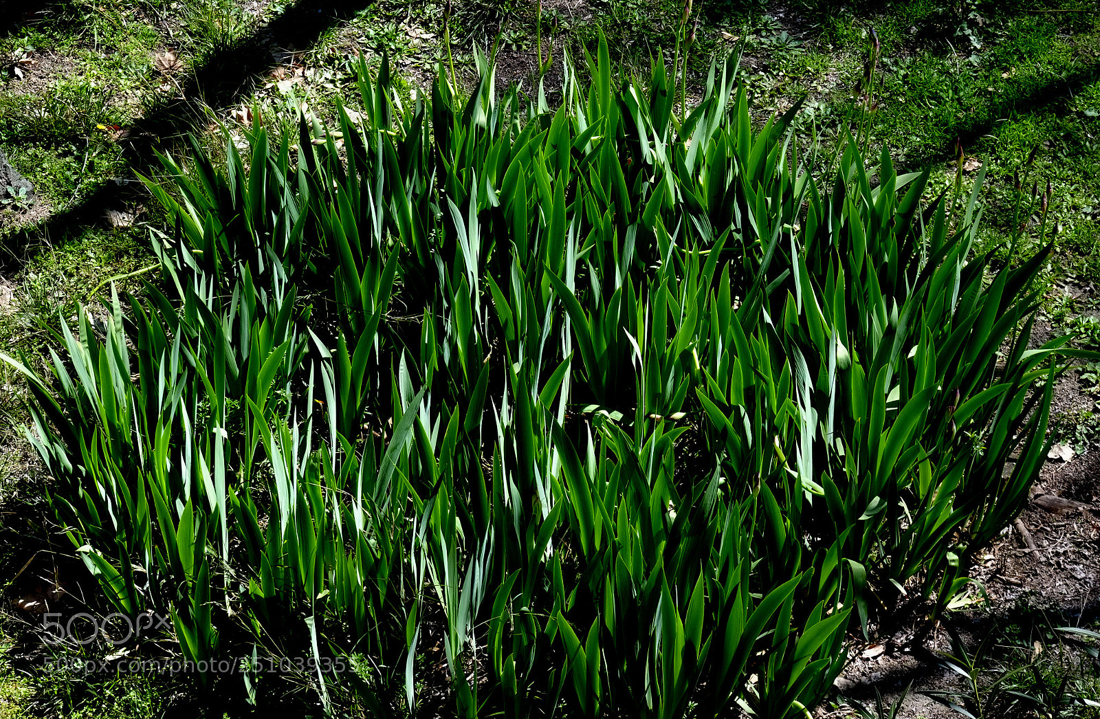 Fujifilm X-E1 sample photo. Dscf photography