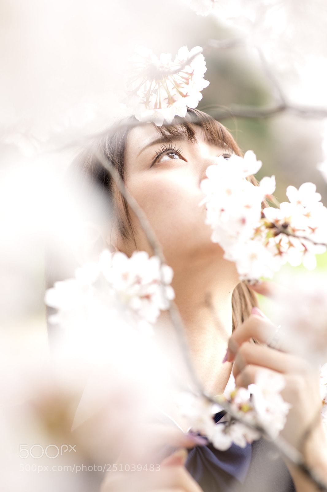 Canon EOS 5D Mark IV sample photo. Sakura photography