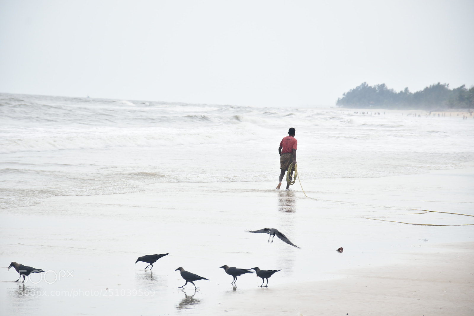 Nikon D5300 sample photo. 1.jpg photography