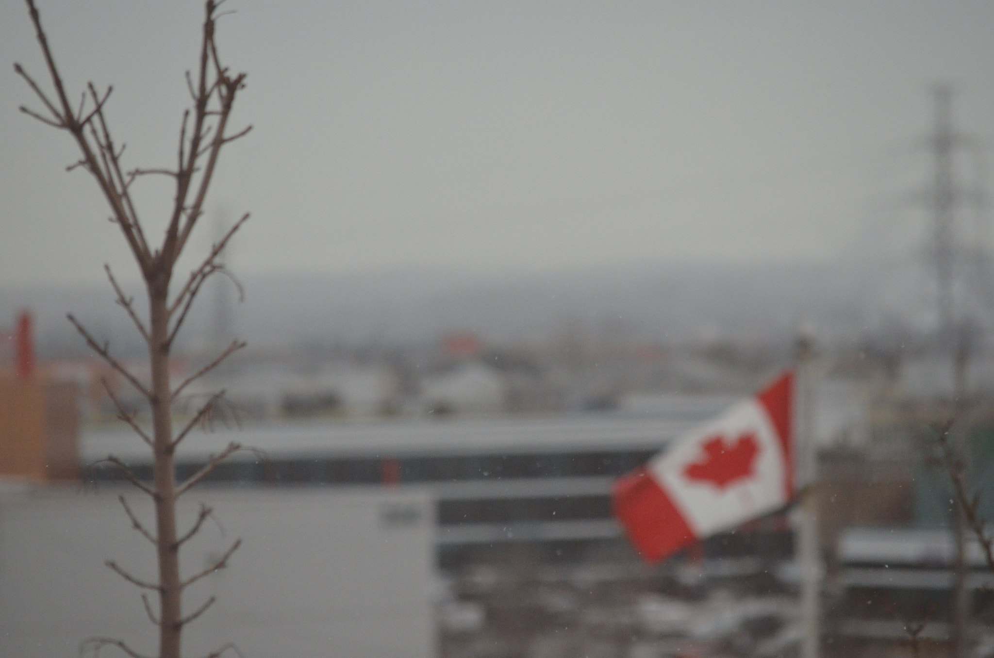 Nikon D5100 sample photo. Canadian winters photography