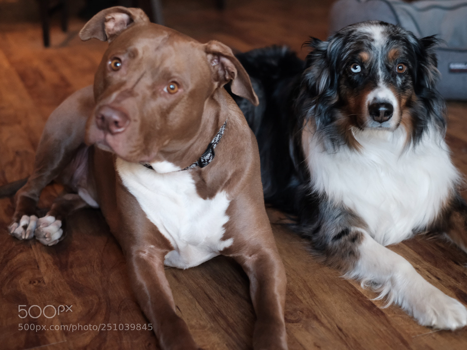 Fujifilm X-T20 sample photo. Img photography