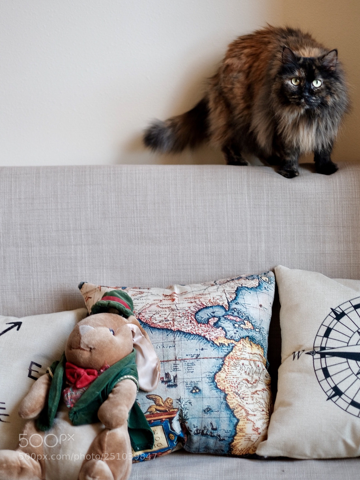 Fujifilm X-T20 sample photo. Fullsizeoutput photography