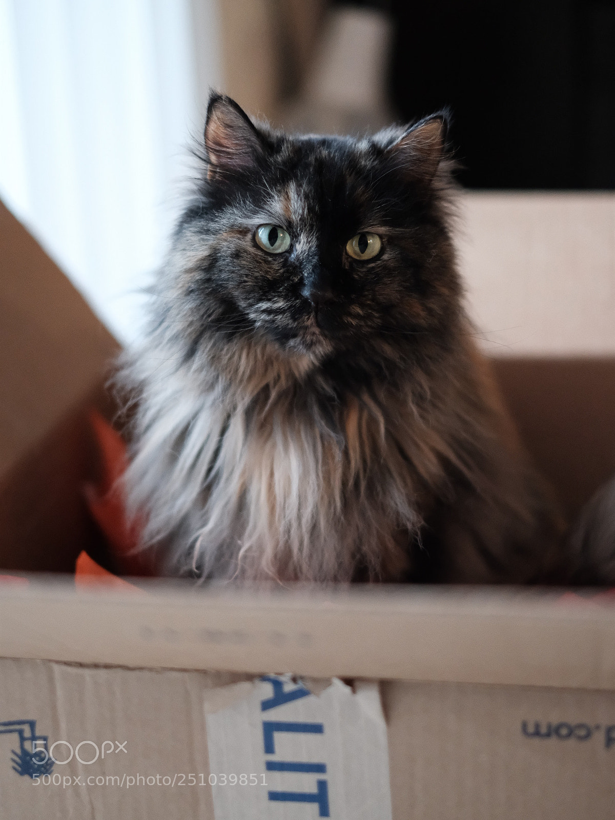 Fujifilm X-T20 sample photo. Img photography