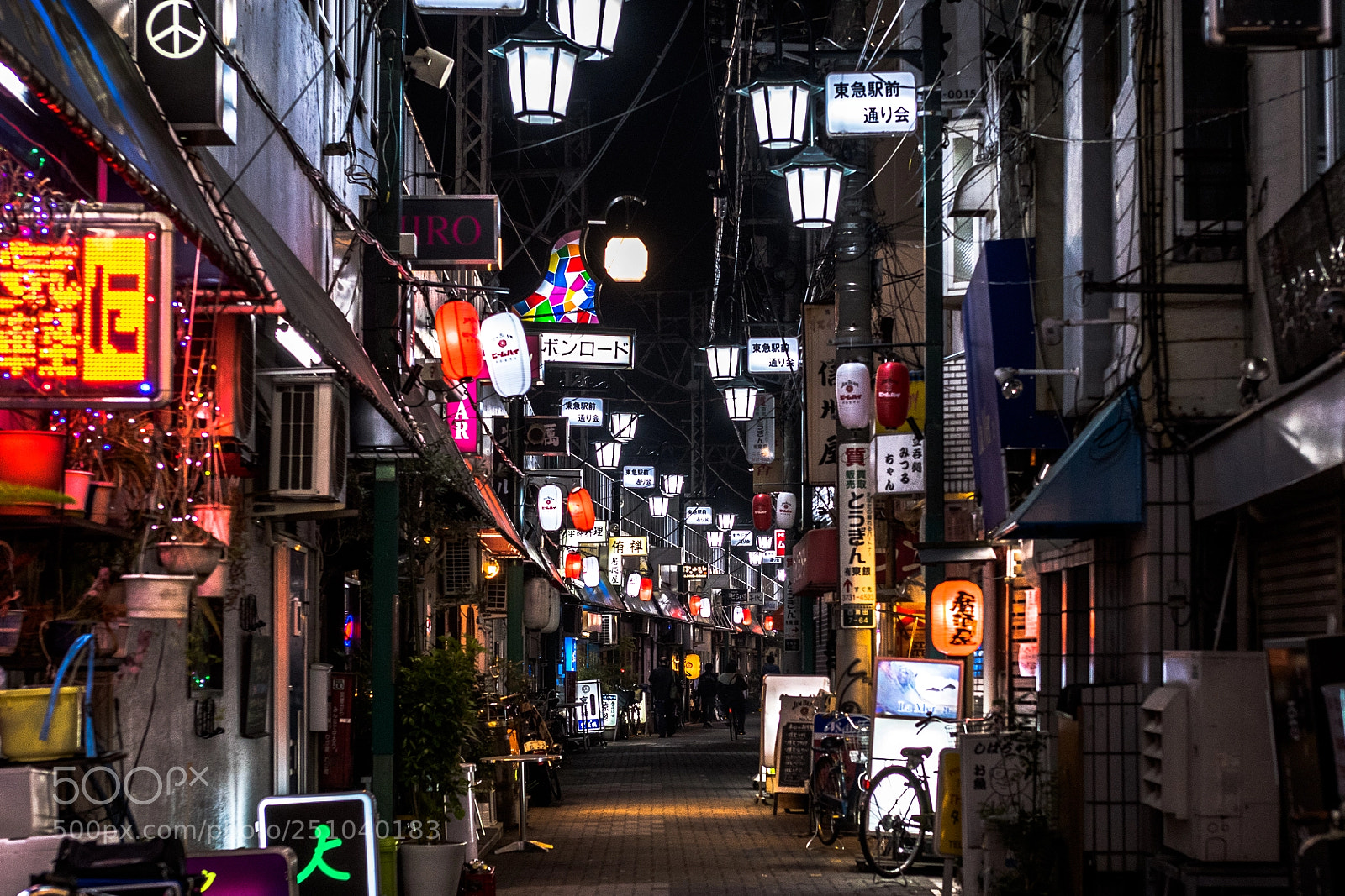 Nikon D500 sample photo. Kamata photography