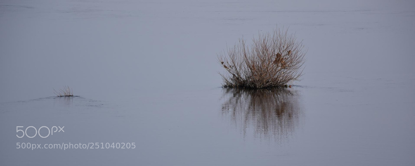 Nikon D7200 sample photo. Im fluß photography