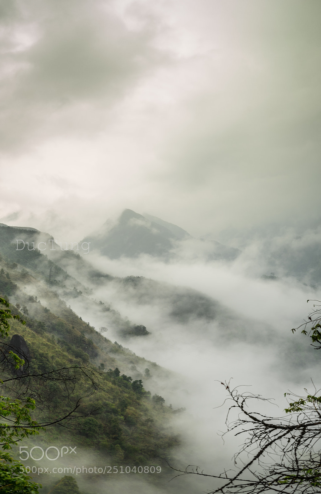 Sony a7 II sample photo. Beside the road photography