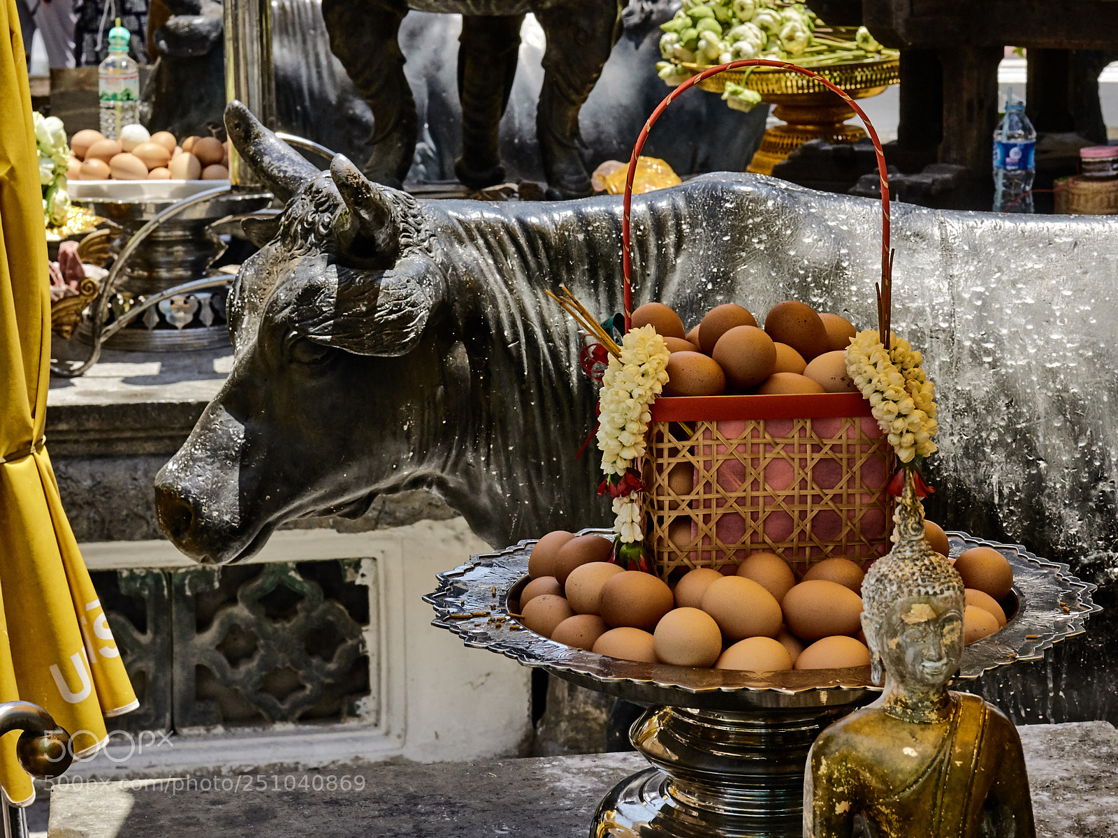 Sony Alpha DSLR-A700 sample photo. Offering of eggs photography