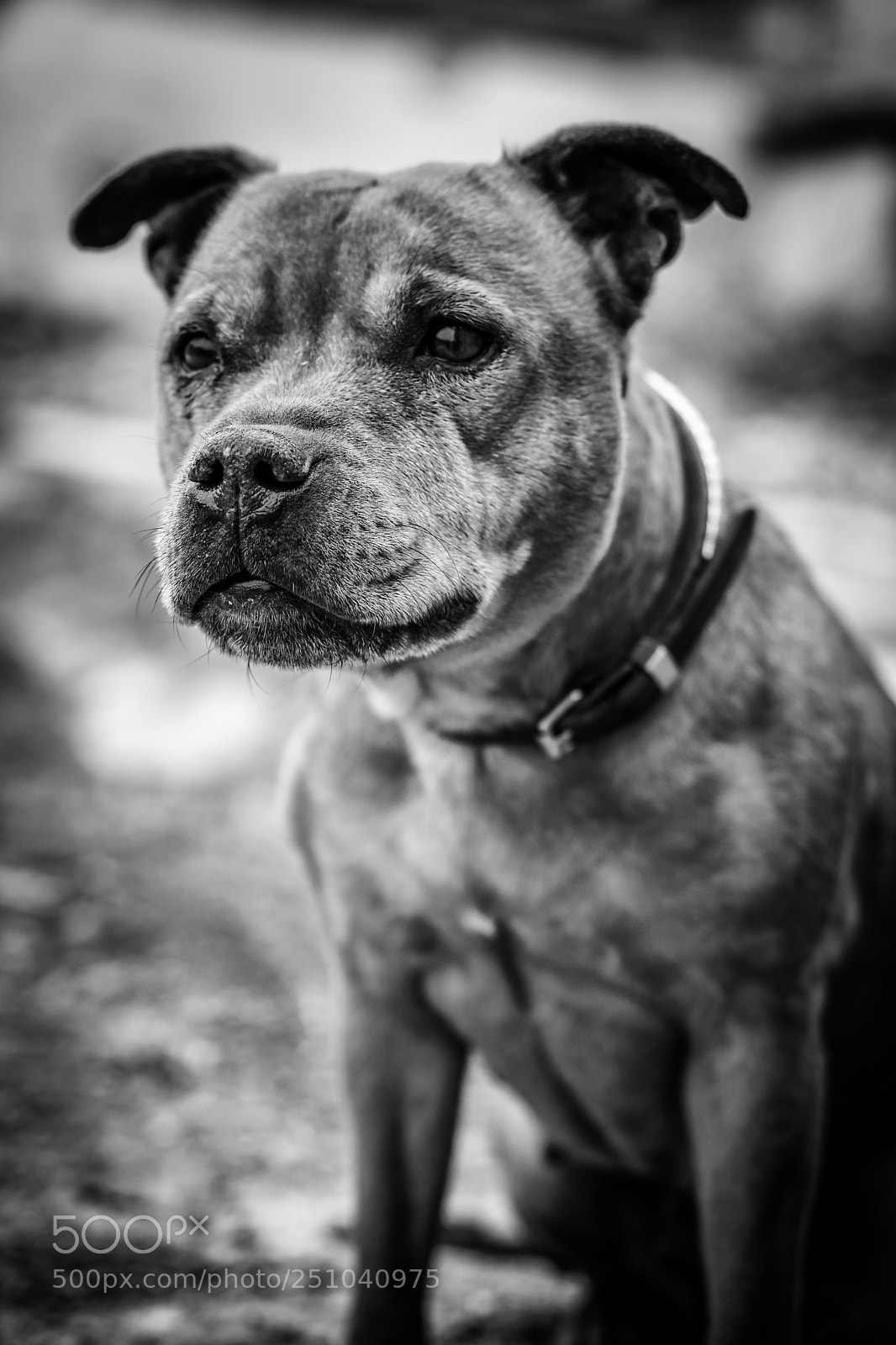 Sony a6000 sample photo. Untitled photography