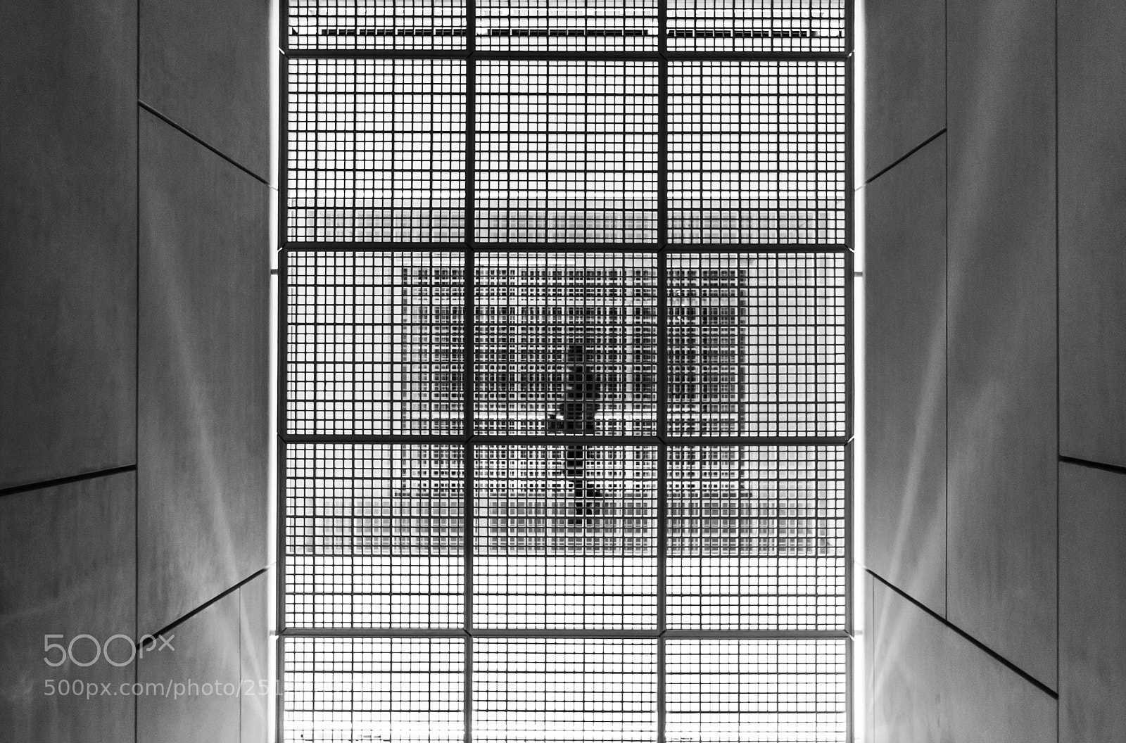 Canon EOS 6D Mark II sample photo. Dissolved by the grid photography