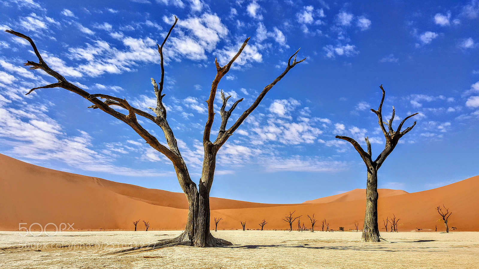 Samsung Galaxy S6 sample photo. Dead vlei trees photography