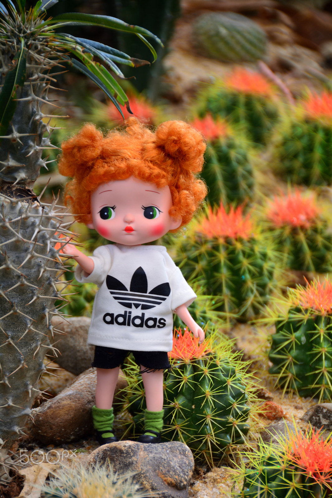Nikon D5200 sample photo. 绿野仙踪-the wizard of oz photography