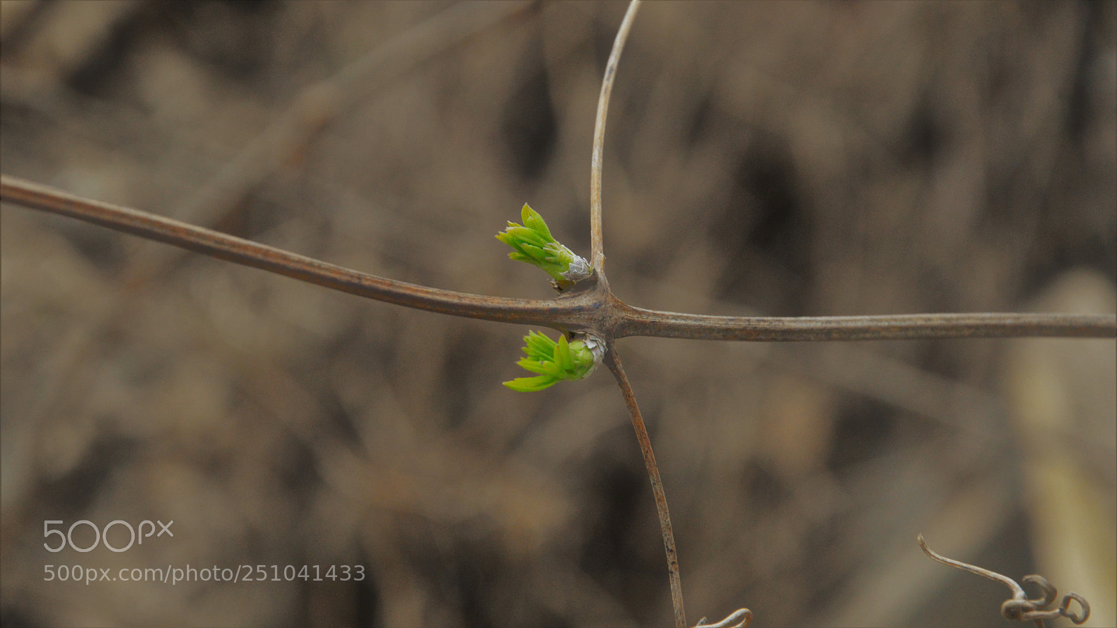 Nikon D3200 sample photo. Untitled photography