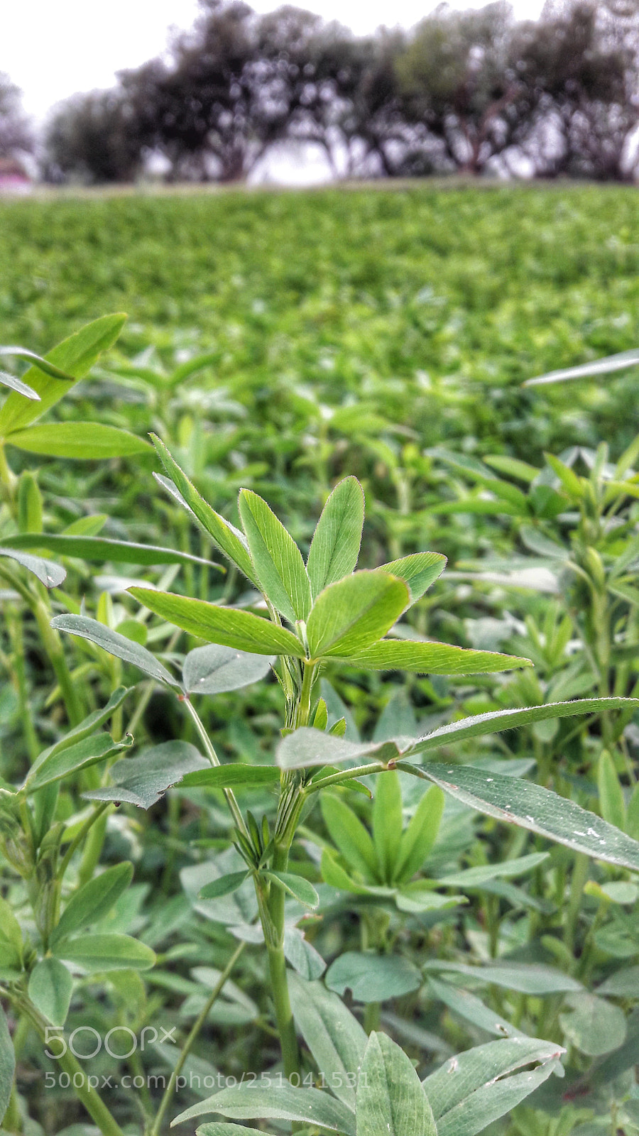 Samsung Galaxy J7 sample photo. ??❤? photography
